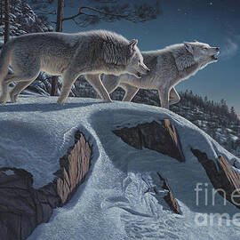 Moonlight Prowlers by Kim Norlien