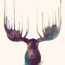 Moose by Amy Hamilton