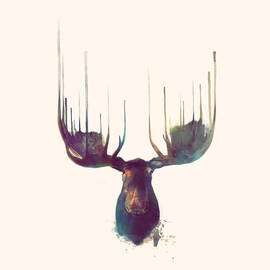 Moose // Squared Format by Amy Hamilton