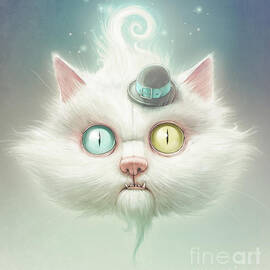 Odd Kitty by Lukas Brezak