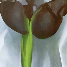 O'keefe Iris by Portfolio Arts Group