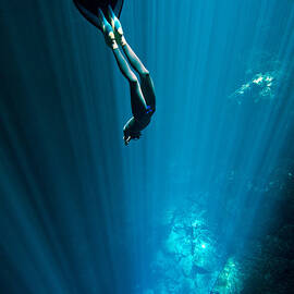 Into the Blue by One ocean One breath