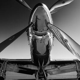 P-51 Mustang by John Hamlon