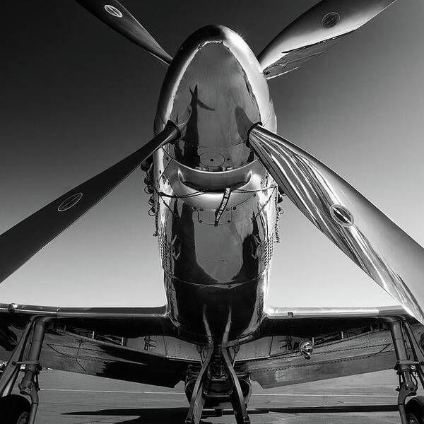 Wall Art - Photograph - P-51 Mustang by John Hamlon