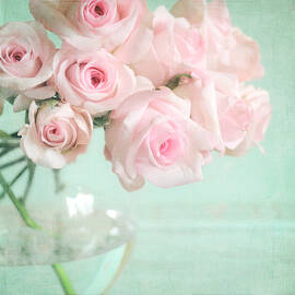 Pale Pink Roses by Lyn Randle