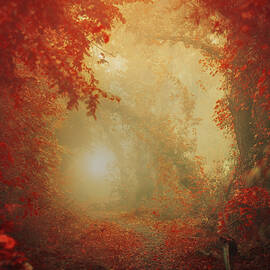 Personal Journey by Ildiko Neer