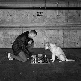 Playing Chess by Friedhelm Hardekopf