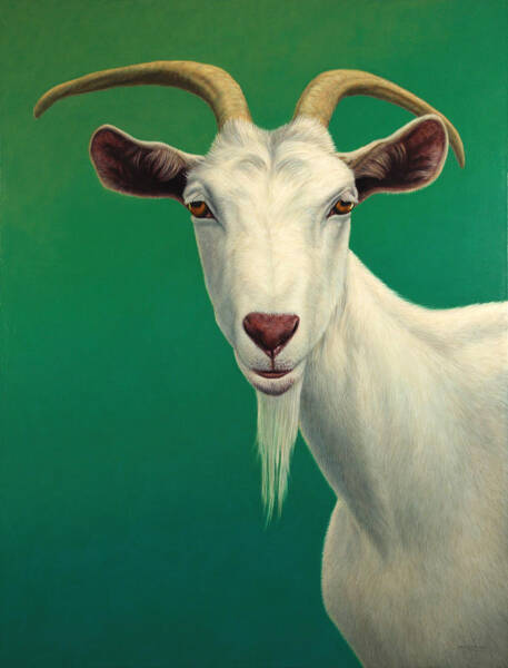 Portrait Of A Goat Art Print