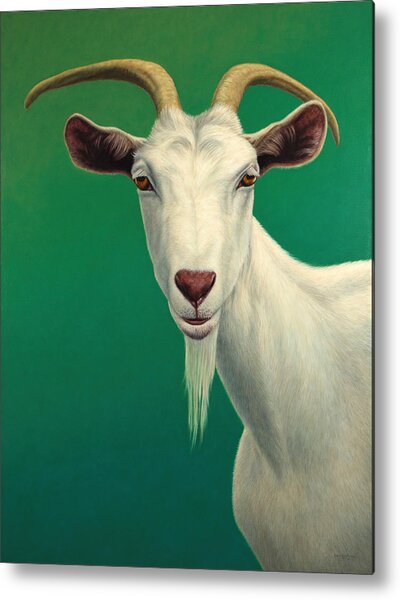 Portrait Of A Goat Metal Print