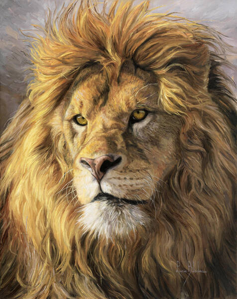 Portrait Of A Lion Art Print