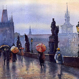 Prague Charles Bridge by Yuriy Shevchuk