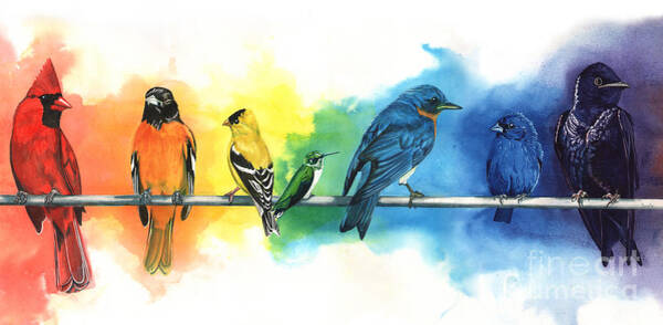 Wall Art - Painting - Rainbow Birds by Antony Galbraith