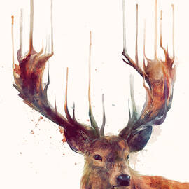 Red Deer by Amy Hamilton