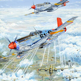 Red Tail 61 by Charles Taylor