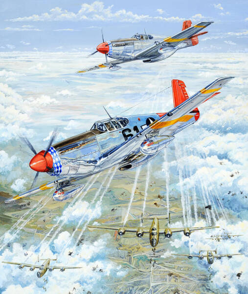 Wall Art - Painting - Red Tail 61 by Charles Taylor