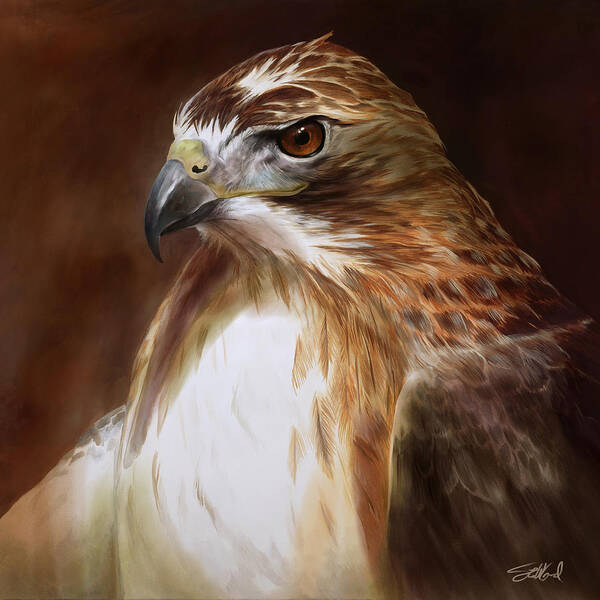 Wall Art - Painting - RedTailed Hawk Portrait by Steve Goad