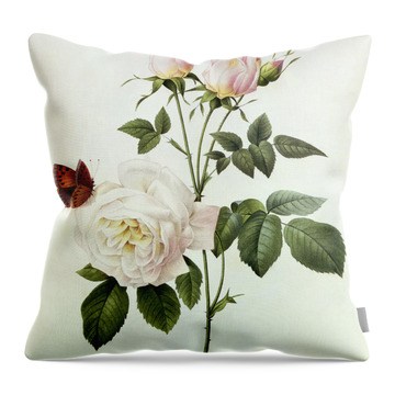 Rosa Bengale The Hymenes Throw Pillow