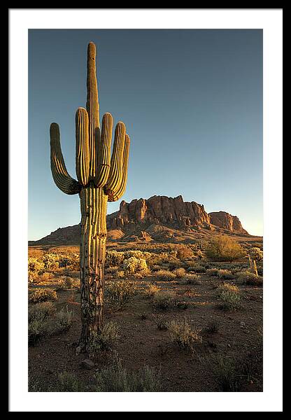 Saguaro Cactus And Superstition Framed Print