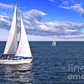 Sailboats at sea by Elena Elisseeva