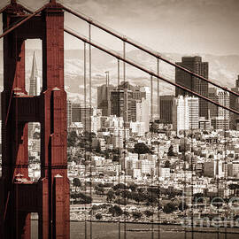 Sanfran custom size by Matt  Trimble