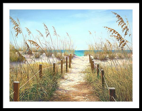 Sea Oat Path Framed Print
