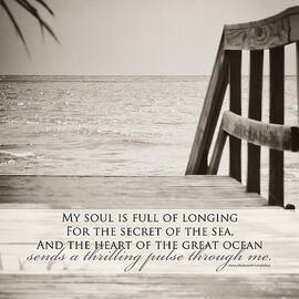 Secret Of The Sea by Misty Diller
