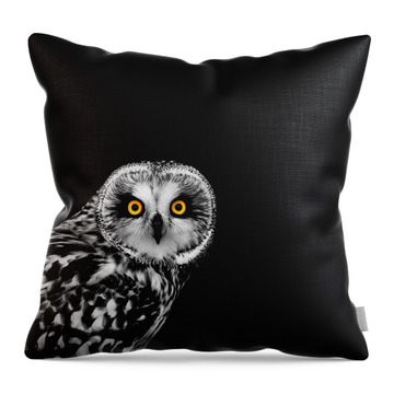 Short-eared Owl Throw Pillow
