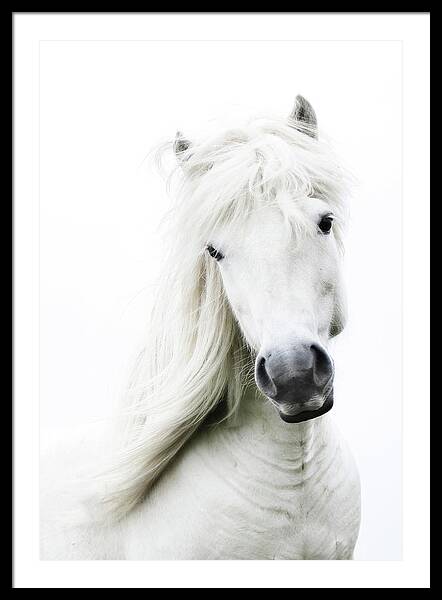 Snowhite Framed Print