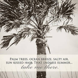 Take Me There by Misty Diller