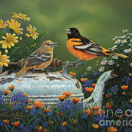 Tea Time by Kim Norlien