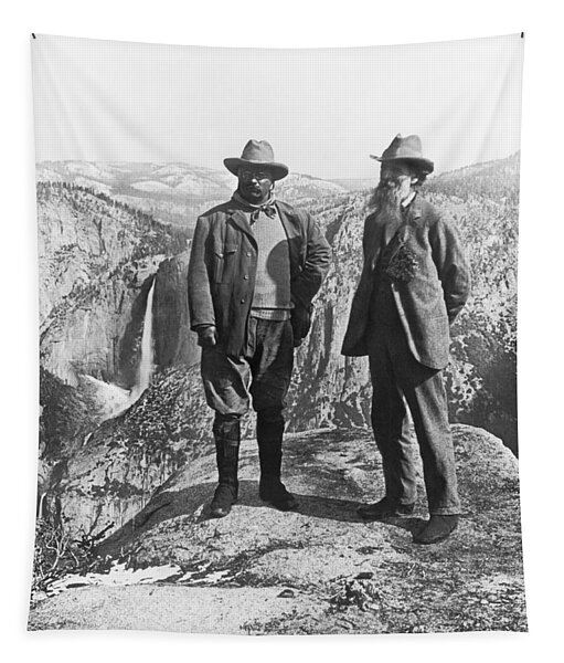 Teddy Roosevelt And John Muir Tapestry