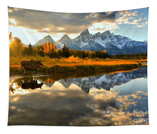 Teton Moose Sunset Stroll Tapestry