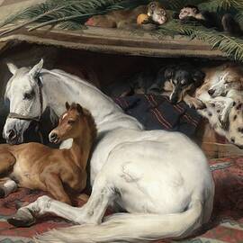 The Arab Tent by Sir Edwin Henry Landseer