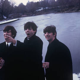 The Beatles In Central Park by Art Zelin