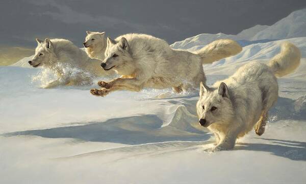 The Chase Art Print