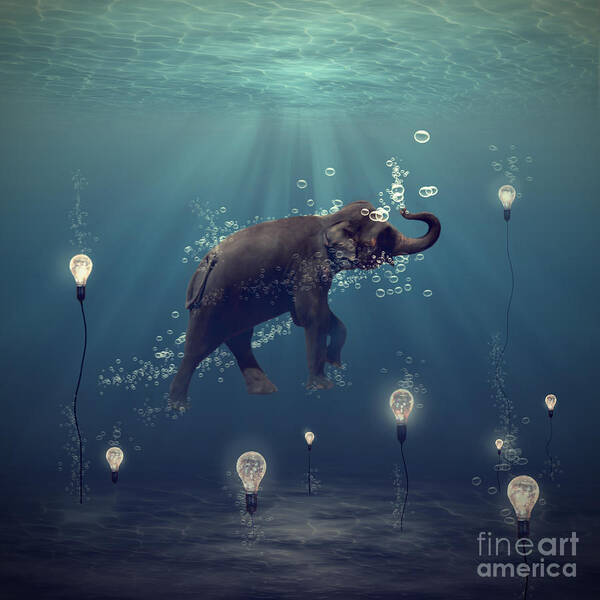 Wall Art - Photograph - The dreamer by Martine Roch