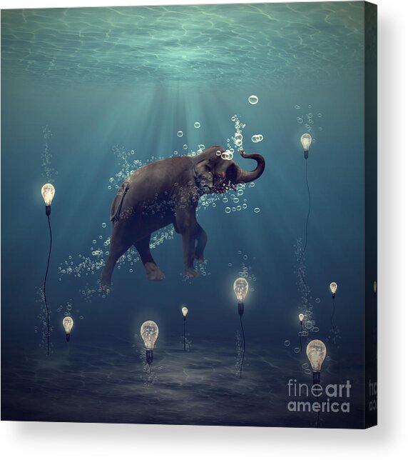 The Dreamer Acrylic Print