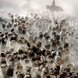 The Great Migration Of China by Adam Wong