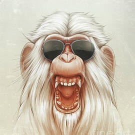 The Great White Angry Monkey by Lukas Brezak