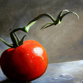 The Lone Tomato by Steve Goad