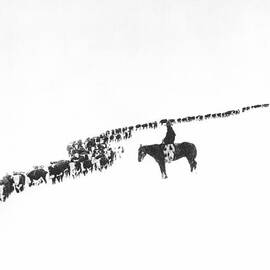 The Long Long Line by Underwood Archives  Charles Belden