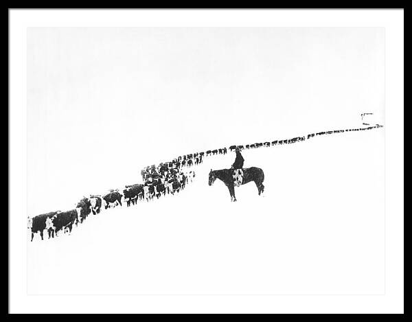 The Long Long Line Framed Print