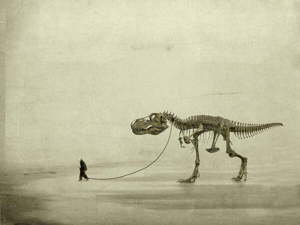 Wall Art - Photograph - The Walk by Jeffrey Hummel