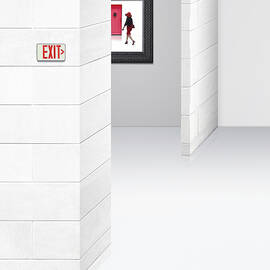 The Way Out by Richard Adams