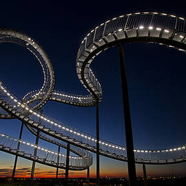 Tiger & Turtle by Friedhelm Hardekopf