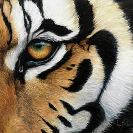 Tiger Eye by Lucie Bilodeau