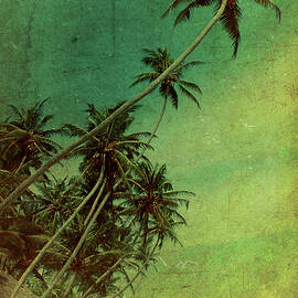 Tropical Vestige by Andrew Paranavitana