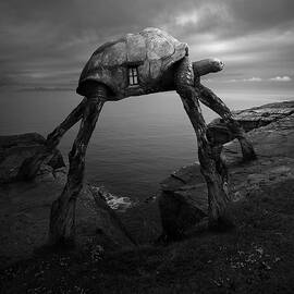 Turtlezaurus by Tomasz Zaczeniuk