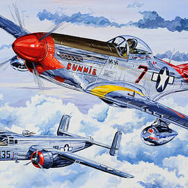 Tuskegee Airman by Charles Taylor