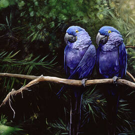 Twins by Steve Goad